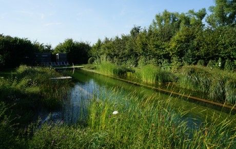 Biotop-zwemvijver-2-460x290